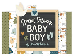 Echo Park - Special Delivery Baby Boy