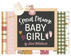 Echo Park - Special Delivery Baby Girl
