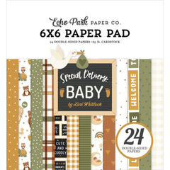Special Delivery Baby- Echo Park - Double-Sided Paper Pad 6"X6" 24/Pkg