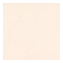 Bazzill - Card Shoppe - Heavyweight Cardstock 12"X12" - Pale Rose