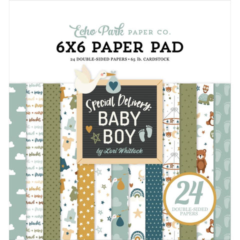 Special Delivery BABY BOY - Echo Park - Double-Sided Paper Pad 6"X6" 24/Pkg (8391)