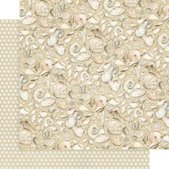 The Beach Is Calling  - Graphic 45 - Double-Sided Cardstock 12"X12" - Every Seashell Has A Story