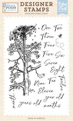 Winnie the Pooh Baby - Echo Park - Clear Stamp - First Year Milestones