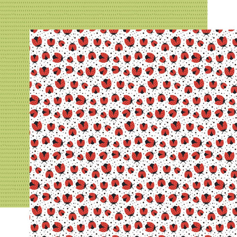 Little Things Mean A Lot - Echo Park - Double-Sided Cardstock 12"X12" - Lovely Ladybugs