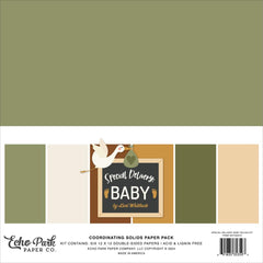 Special Delivery Baby- Echo Park - Collection Kit 12"X12" - Solids