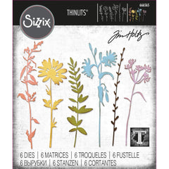 Sizzix/Tim Holtz - Thinlits Dies 6/Pkg  - Vault Wildflowers