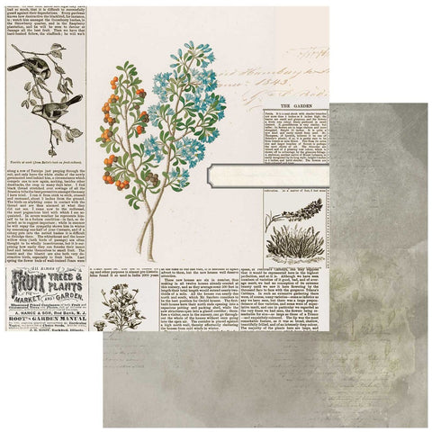 Curators Botanical - 49 & Market - 12"x12" Double-sided Patterned Paper - Garden Clippings