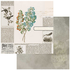 Curators Botanical - 49 & Market - 12"x12" Double-sided Patterned Paper - Garden Clippings