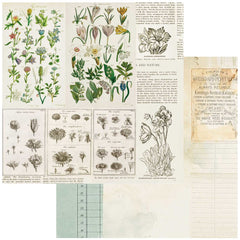 Curators Botanical - 49 & Market - 12"x12" Double-sided Patterned Paper - Anthology