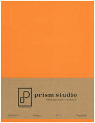 Prism Studio - Whole Spectrum Heavyweight Cardstock 8.5"x11" (10 Sheets)  - Bird of Paradise
