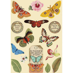 Amazonia - Stamperia - Wooden Shapes A5 - Butterfly (2979)