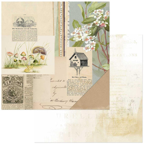 Curator Meadow - 49 And Market - Double-Sided Cardstock 12"X12" - Flora