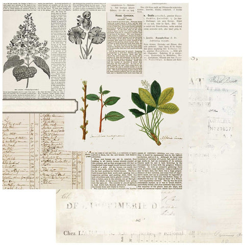 Curators Botanical - 49 & Market - 12"x12" Double-sided Patterned Paper - Florilegia