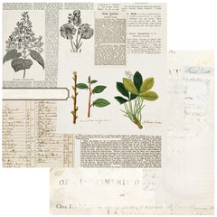 Curators Botanical - 49 & Market - 12"x12" Double-sided Patterned Paper - Florilegia