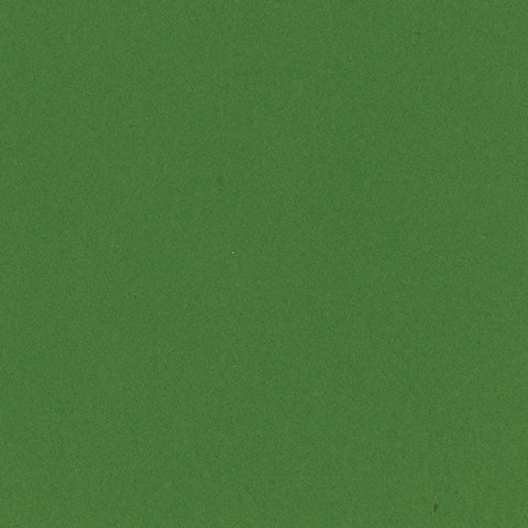 Bazzill Smoothies Cardstock 12"X12" - Kiwi Crush