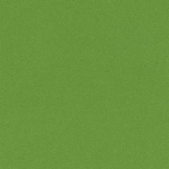 Bazzill Smoothies Cardstock 12"X12" - Lime Crush