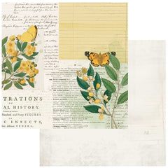 Curators Botanical - 49 & Market - 12"x12" Double-sided Patterned Paper - Natural History