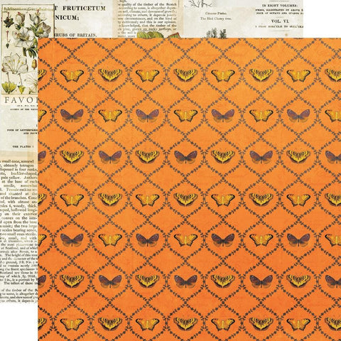 Simple Vintage Country Harvest - Simple Stories - Double-Sided Cardstock 12"X12" - Nature's Wonder
