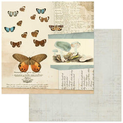 Curator Meadow - 49 And Market - Double-Sided Cardstock 12"X12" - Papillon