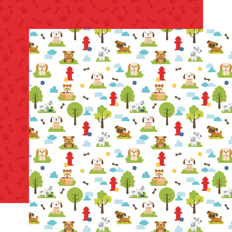 Pets - Echo Park - Double-Sided Cardstock 12"X12" - Park Playdate