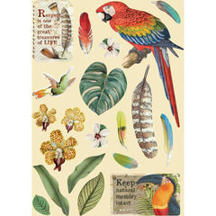 Amazonia - Stamperia - Wooden Shapes A5 - Parrot (2993)