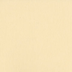 Bazzill Smoothies Cardstock 12"X12" - Pigment