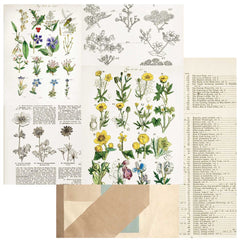 Curators Botanical - 49 & Market - 12"x12" Double-sided Patterned Paper - Pressed Petals