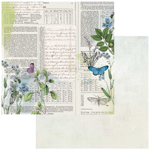Curators Botanical - 49 & Market - 12"x12" Double-sided Patterned Paper - Records