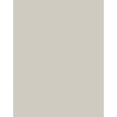Bazzill Smoothies - Cardstock 8.5"X11" - Twill (0536)