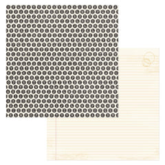 Beautiful Things - BoBunny -  Double-Sided Cardstock 12"X12" - Typed