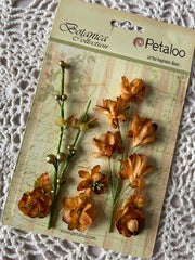 Petaloo - Botanica Collection - Faux Dried Floral Ephemera - Brown (6617)
