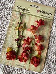 Petaloo - Botanica Collection - Faux Dried Floral Ephemera - Cranberry (6631)