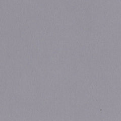 Bazzill Smoothies - Cardstock 8.5"X11" - Date Swirl 25/pkg