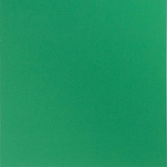 Bazzill Smoothies Cardstock 12"X12" - Green Apple